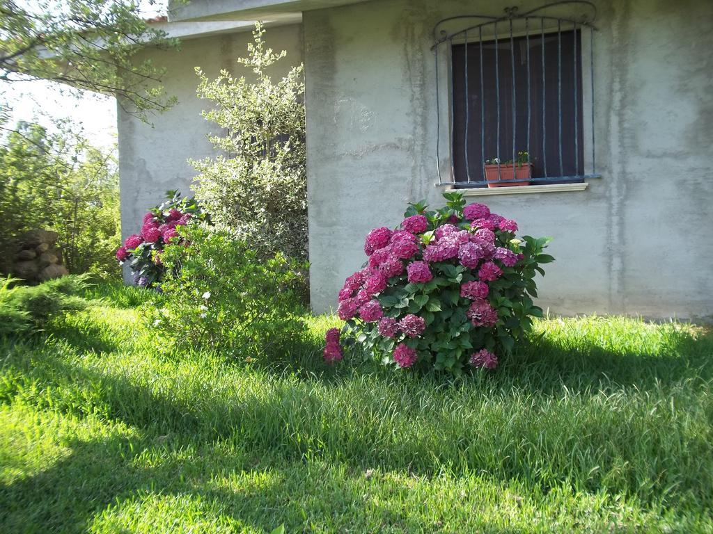 Il Vecchioliveto Di Ornella Bed & Breakfast Marrùbiu Екстериор снимка