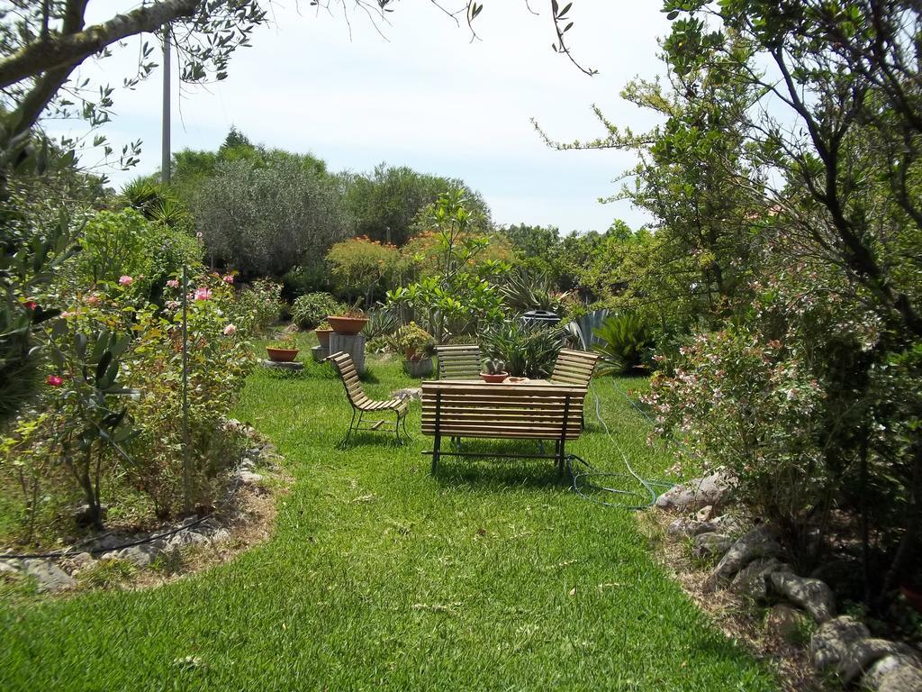 Il Vecchioliveto Di Ornella Bed & Breakfast Marrùbiu Стая снимка
