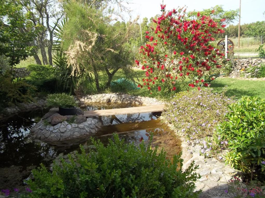 Il Vecchioliveto Di Ornella Bed & Breakfast Marrùbiu Стая снимка