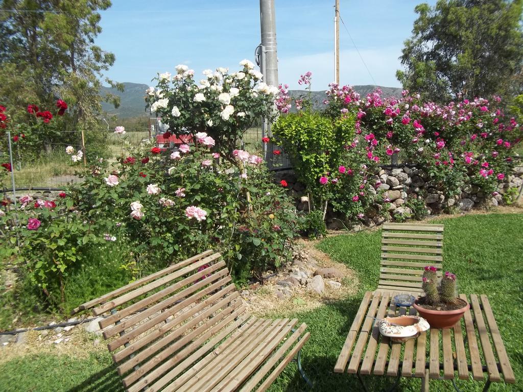 Il Vecchioliveto Di Ornella Bed & Breakfast Marrùbiu Стая снимка