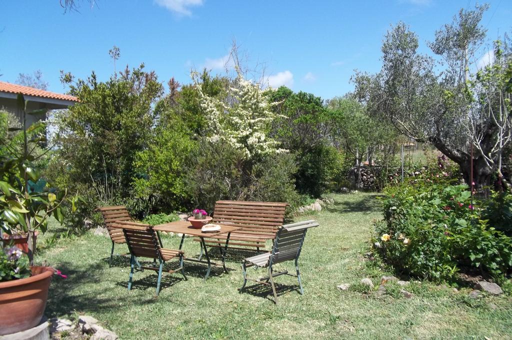 Il Vecchioliveto Di Ornella Bed & Breakfast Marrùbiu Екстериор снимка