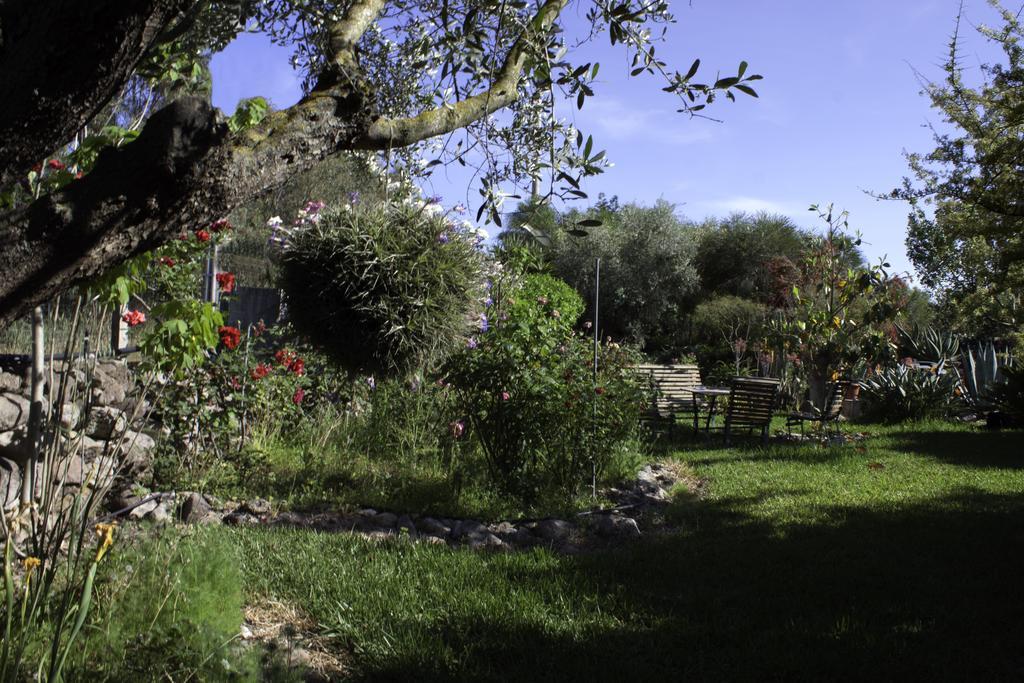 Il Vecchioliveto Di Ornella Bed & Breakfast Marrùbiu Екстериор снимка