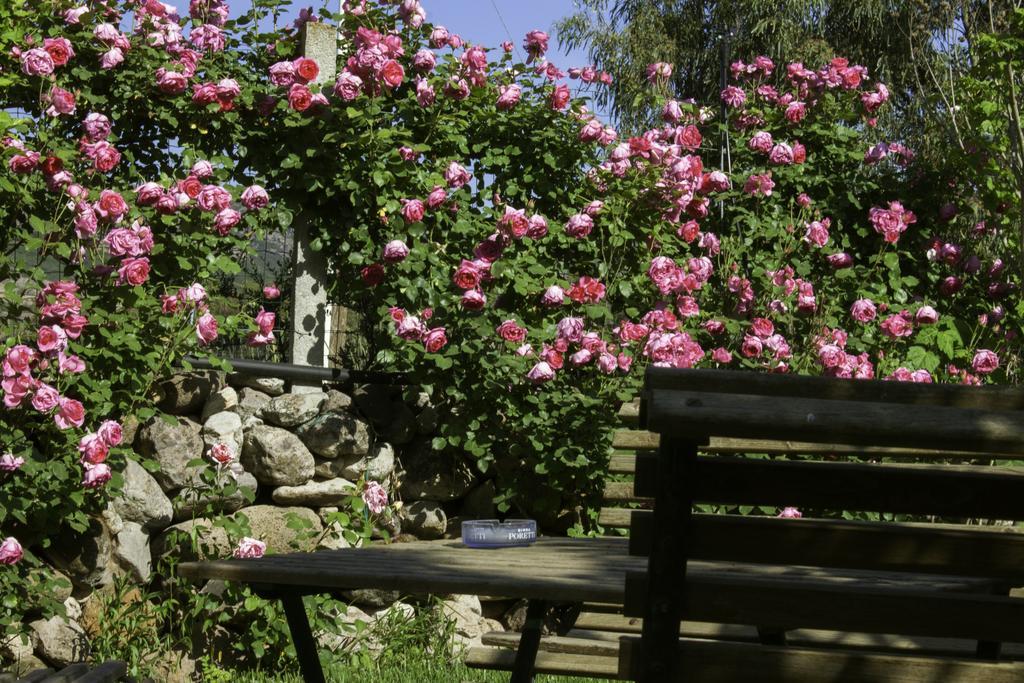Il Vecchioliveto Di Ornella Bed & Breakfast Marrùbiu Екстериор снимка