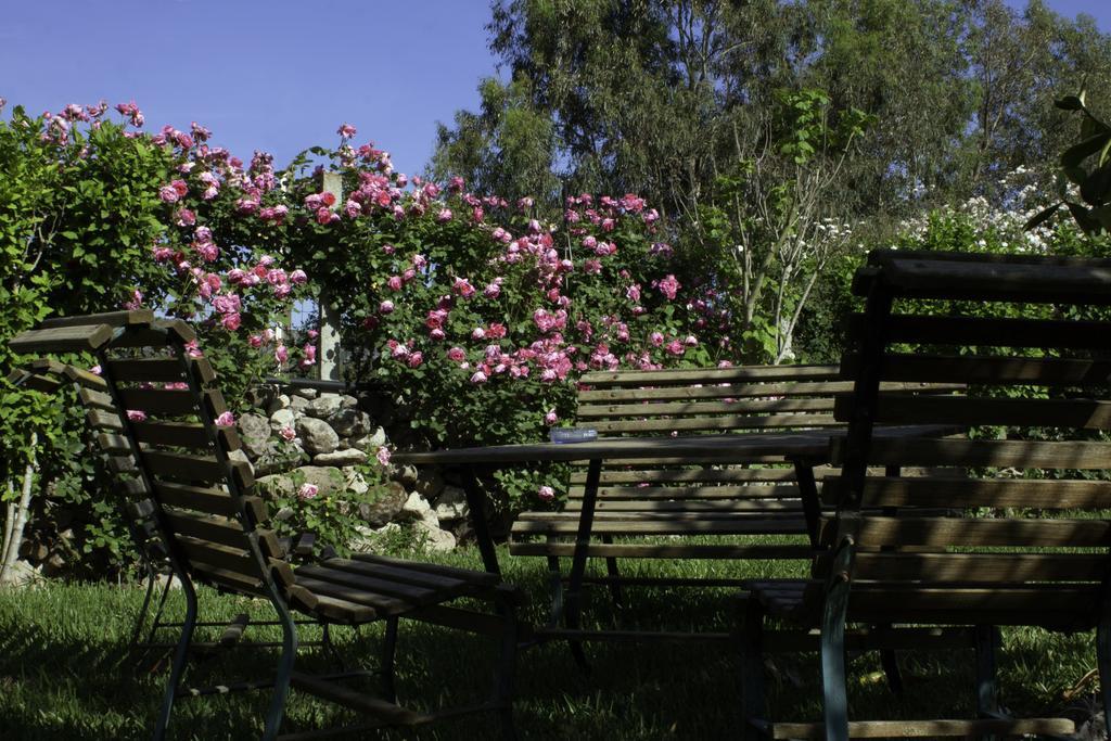 Il Vecchioliveto Di Ornella Bed & Breakfast Marrùbiu Екстериор снимка