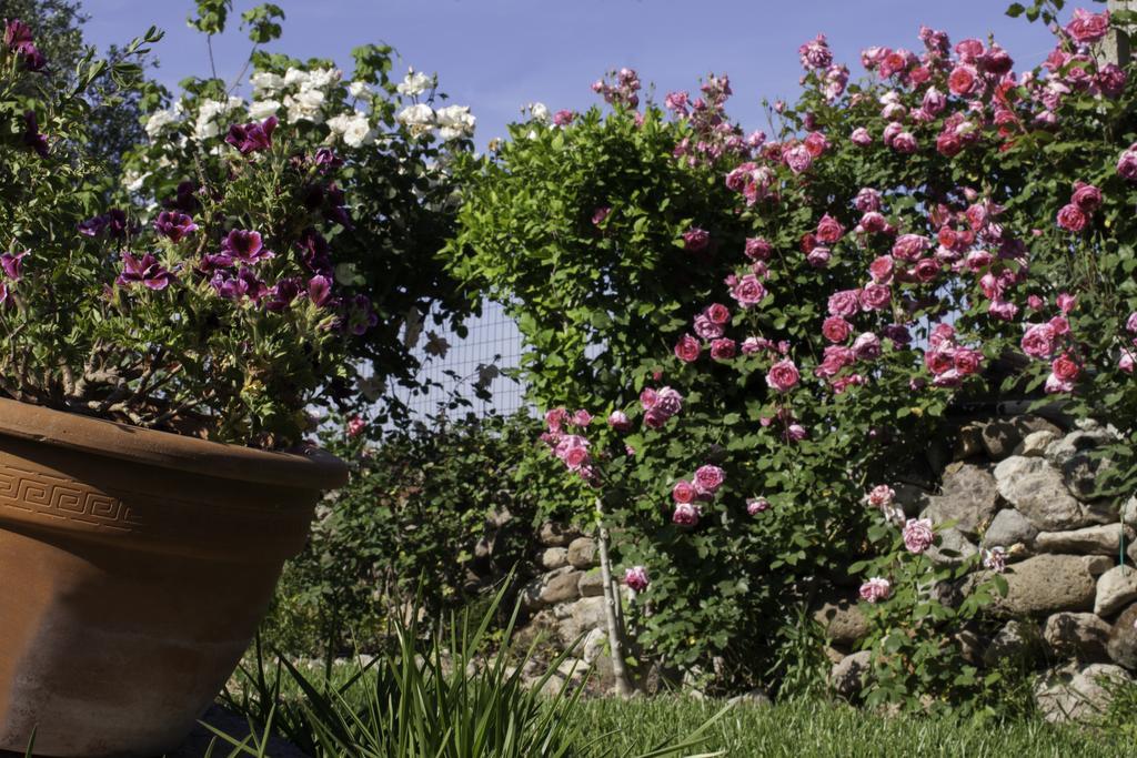 Il Vecchioliveto Di Ornella Bed & Breakfast Marrùbiu Екстериор снимка