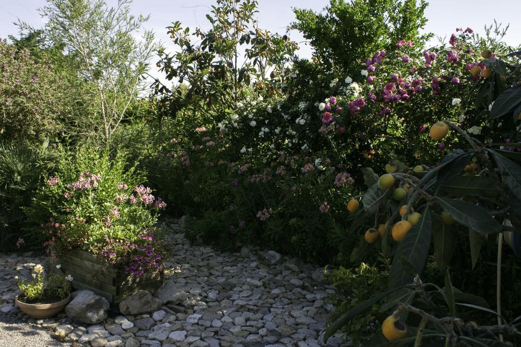 Il Vecchioliveto Di Ornella Bed & Breakfast Marrùbiu Екстериор снимка