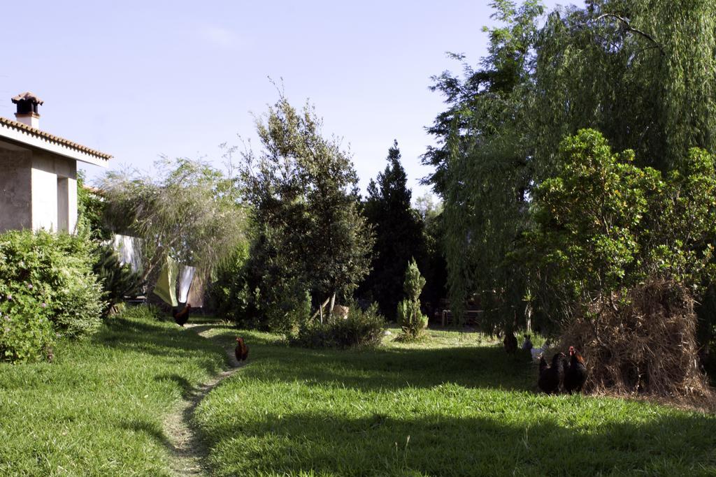 Il Vecchioliveto Di Ornella Bed & Breakfast Marrùbiu Екстериор снимка