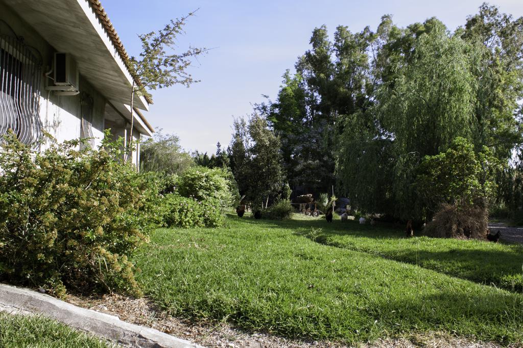 Il Vecchioliveto Di Ornella Bed & Breakfast Marrùbiu Екстериор снимка