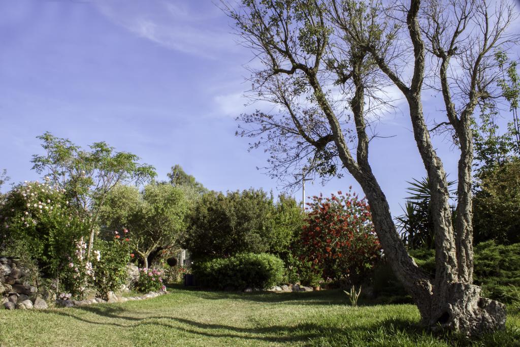 Il Vecchioliveto Di Ornella Bed & Breakfast Marrùbiu Екстериор снимка