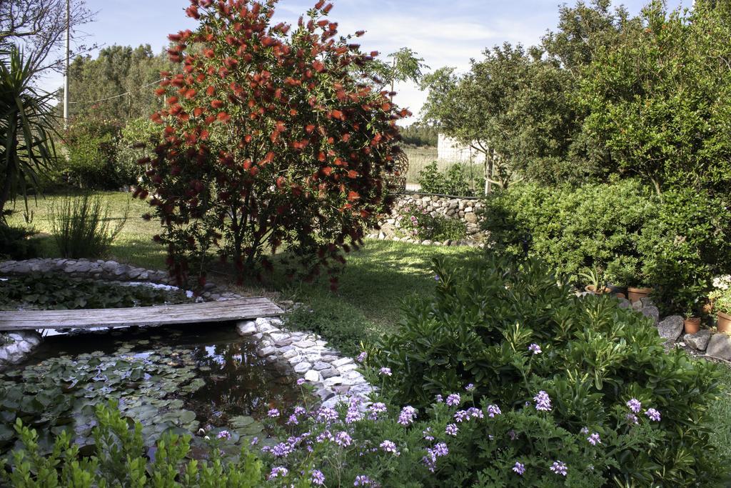 Il Vecchioliveto Di Ornella Bed & Breakfast Marrùbiu Екстериор снимка
