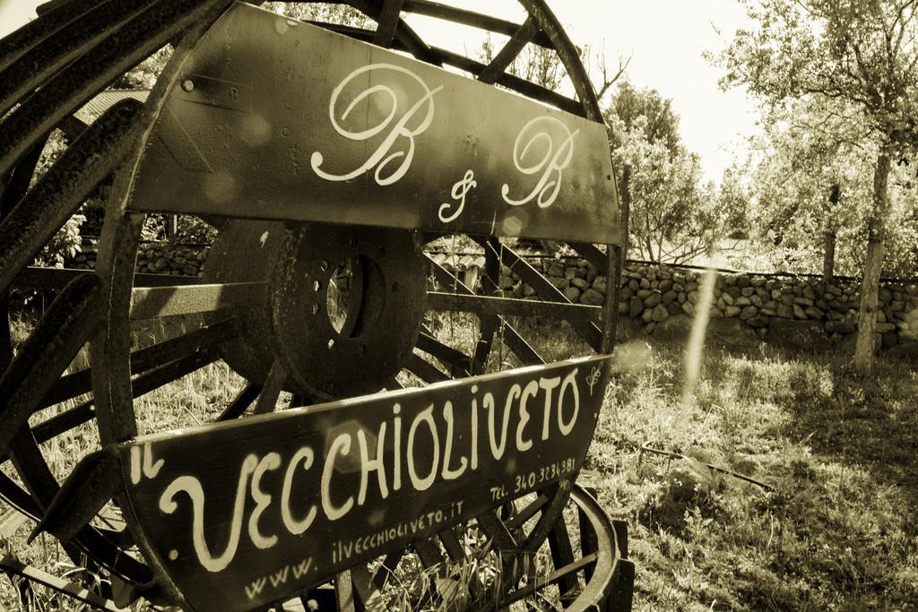 Il Vecchioliveto Di Ornella Bed & Breakfast Marrùbiu Екстериор снимка