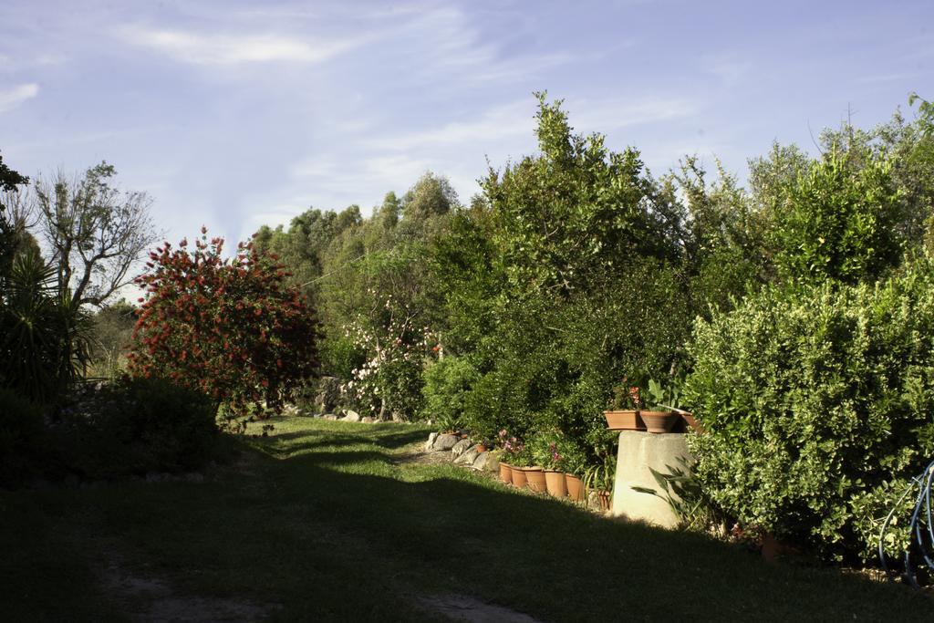 Il Vecchioliveto Di Ornella Bed & Breakfast Marrùbiu Екстериор снимка