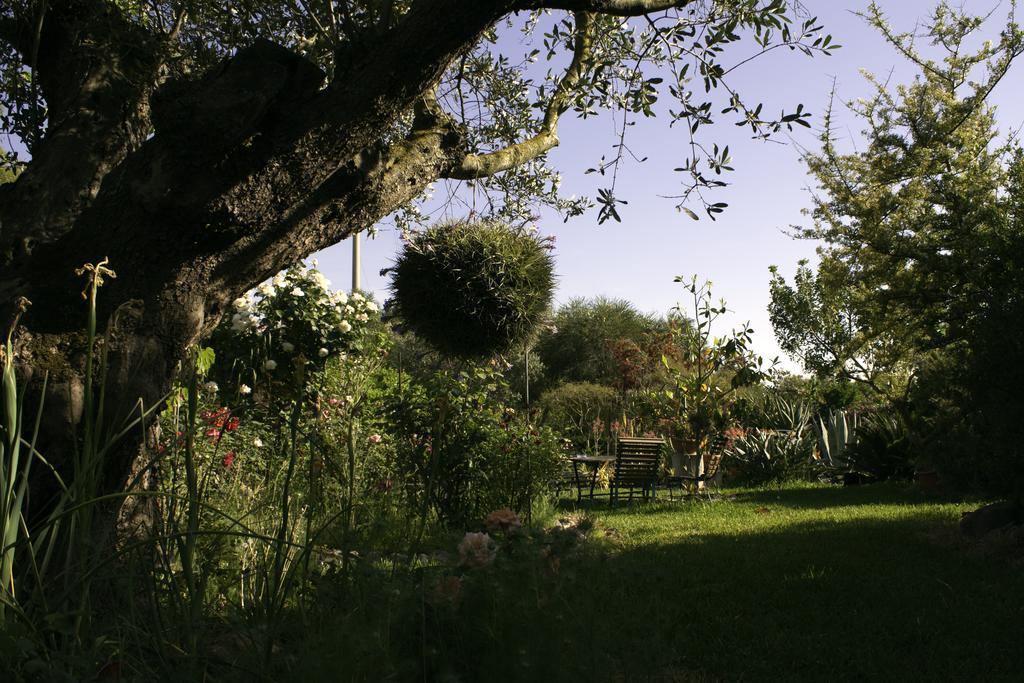 Il Vecchioliveto Di Ornella Bed & Breakfast Marrùbiu Екстериор снимка