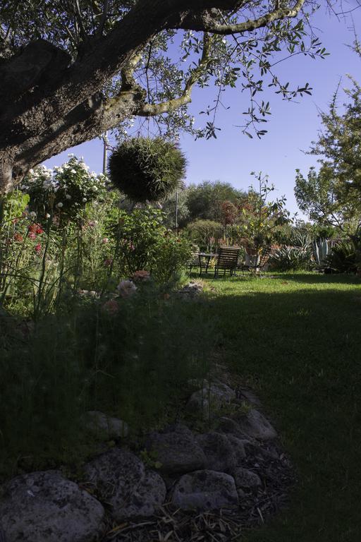 Il Vecchioliveto Di Ornella Bed & Breakfast Marrùbiu Екстериор снимка