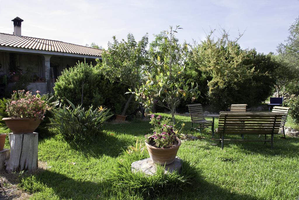 Il Vecchioliveto Di Ornella Bed & Breakfast Marrùbiu Екстериор снимка