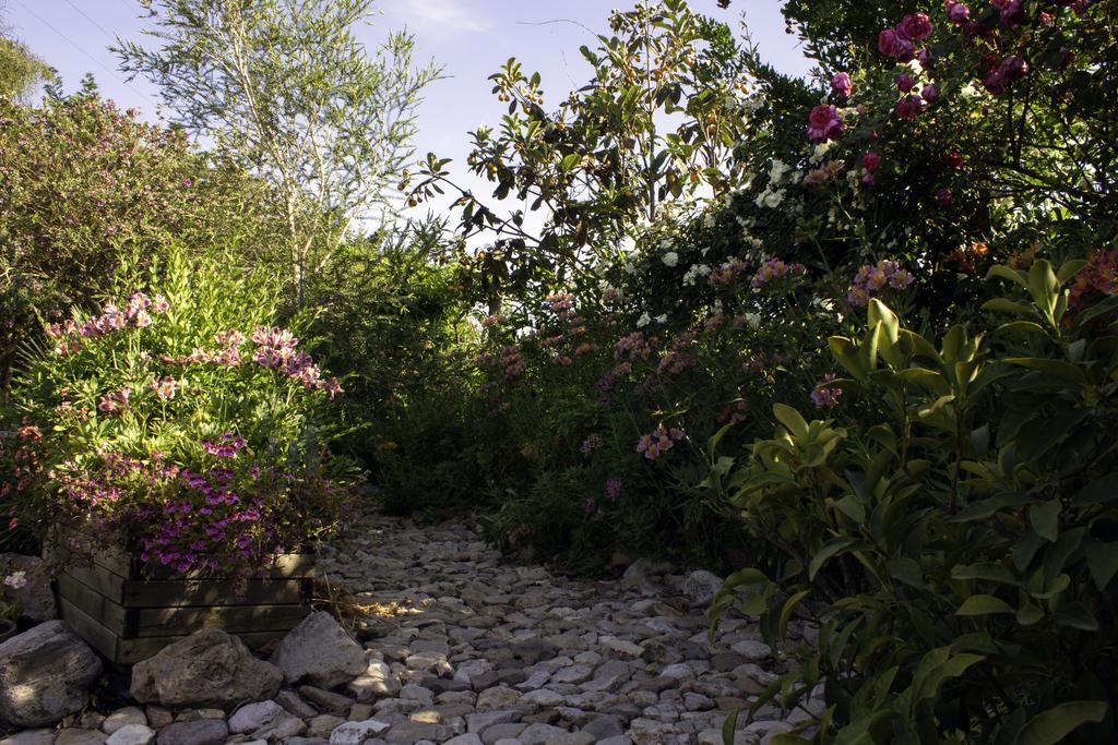 Il Vecchioliveto Di Ornella Bed & Breakfast Marrùbiu Екстериор снимка